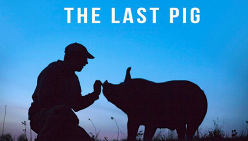 Poster of The Last Pig