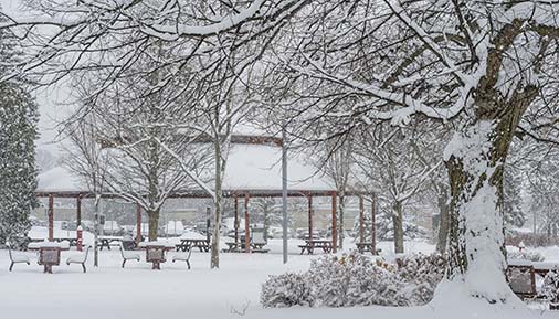 Snowfall on campus