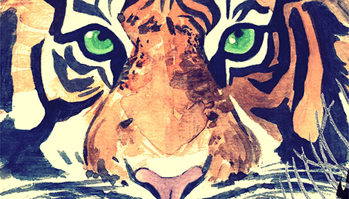 Close up of tiger eyes and nose