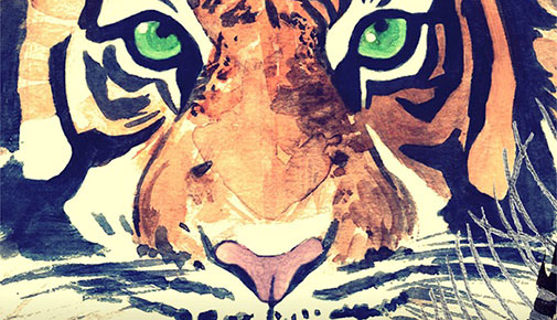 Close up of a tiger face