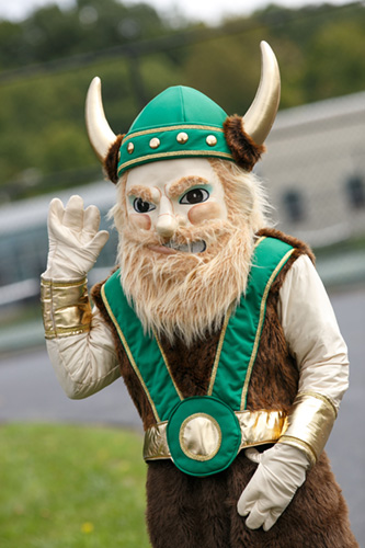 Viking mascot