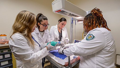 Respiratory care students work in lab