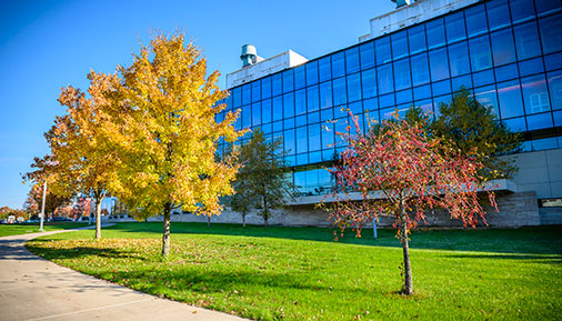 Fall view of campus