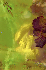 kyragarrigue_untitledfall1_digitalprint_2022.jpg