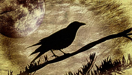 Raven with golden moon eerie background