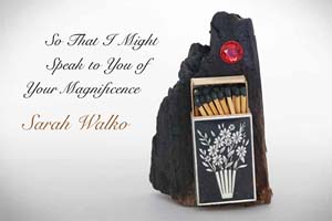 So That I Might Speak to You of Your Magnificence: Sculpture, Drawings and Installation by Sarah Walko Postcard
