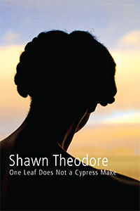 Shawn Theodore – One Leaf Does Not a Cypress Make Postcard